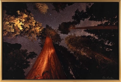 EILEEN COUNIHAN (Massachusetts, Contemporary), Big Red, 2013., Chromogenic print mounted on metal,