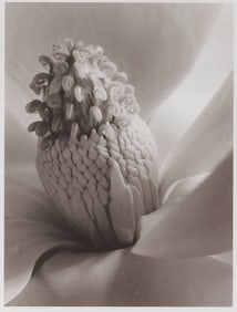IMOGEN CUNNINGHAM (California/Oregon, 1883-1976), Magnolia Blossom, Tower of Jewels, 1925., Silver