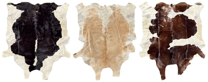 THREE COWHIDE RUGS 64.5" x 77", 62" x 87" and 64" x 85".