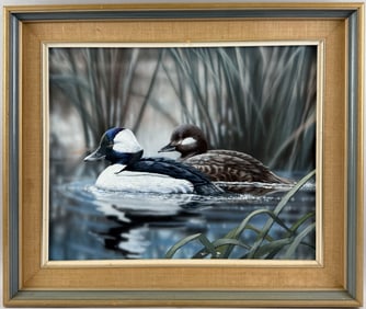 PAINTING DEPICTING A PAIR OF BUFFLEHEADS 20th Century Acrylic on board, 16" x 20". Framed 22" x 25".