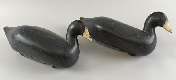 TWO CHESAPEAKE BAY AREA FRESHWATER COOT DECOYS 20th Century Lengths 13".