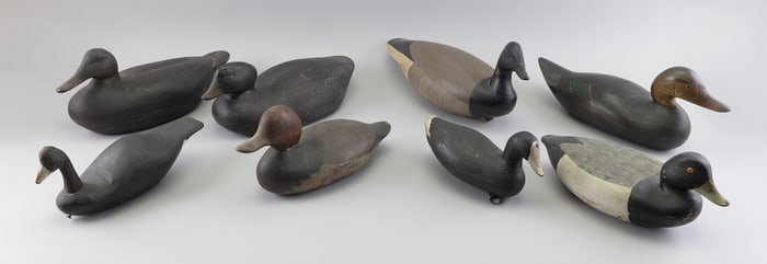 EIGHT DECOYS 20th Century Lengths from 12" to 18".