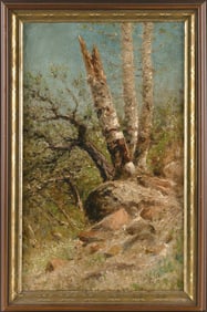 AMERICAN SCHOOL (Early 20th Century,), Study of birch trees., Oil on canvas, 20" x 12". Framed 23" x