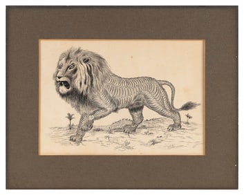 DRAWING OF A PROWLING LION 19th Century Ink on paper, 7.5" x 11" sight. Matted 15.5" x 12".