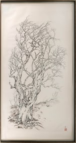 XIAO JUN ZENG (China, 1954-), Scroll painting with a study of an old tree., Pen and ink on paper,