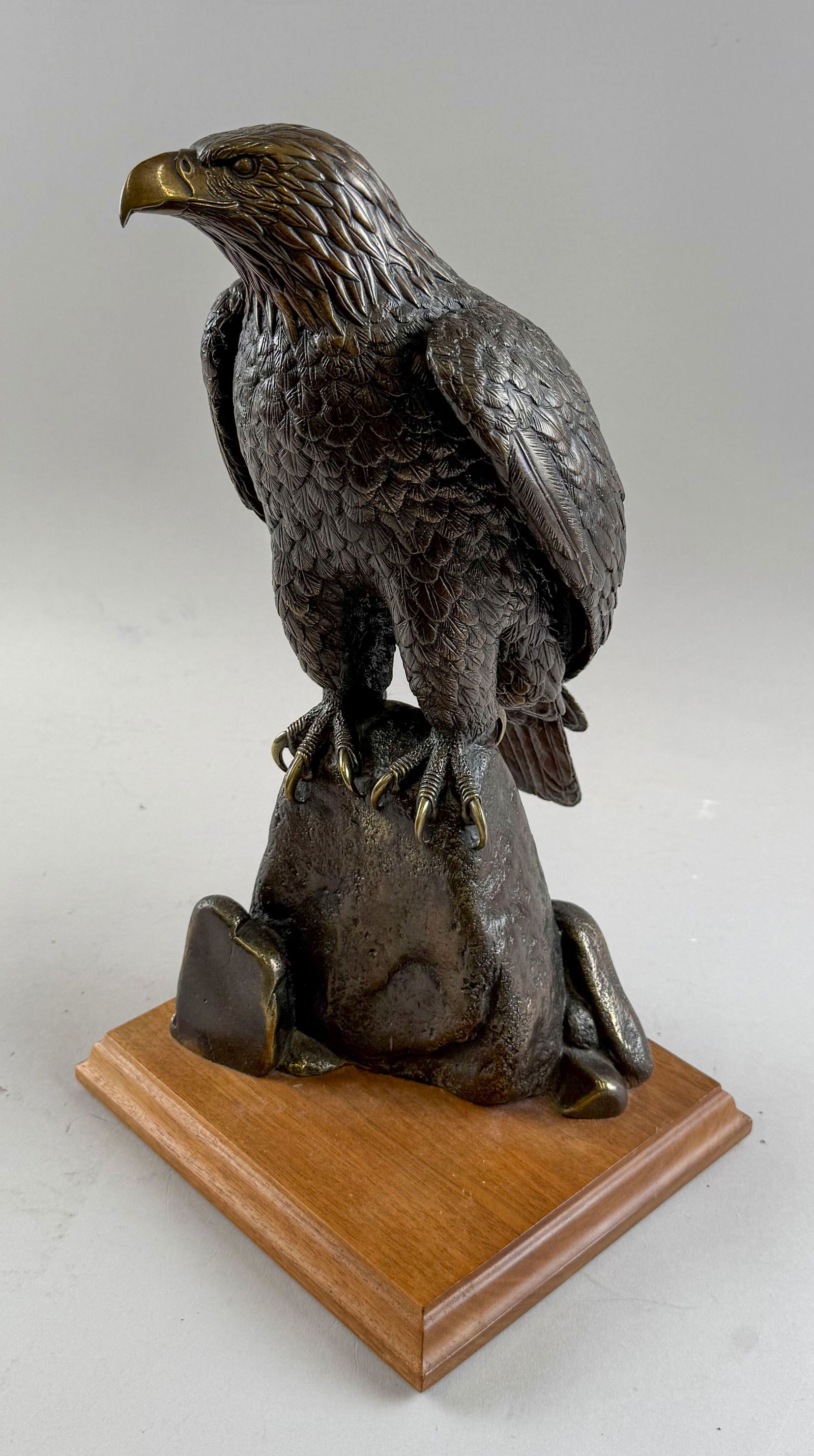 BRONZE EAGLE 20th Century Total height 15". (1 of 8)