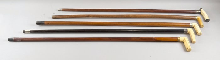 FIVE CANES Late 19th/Early 20th Century Lengths from 33" to 34.5".