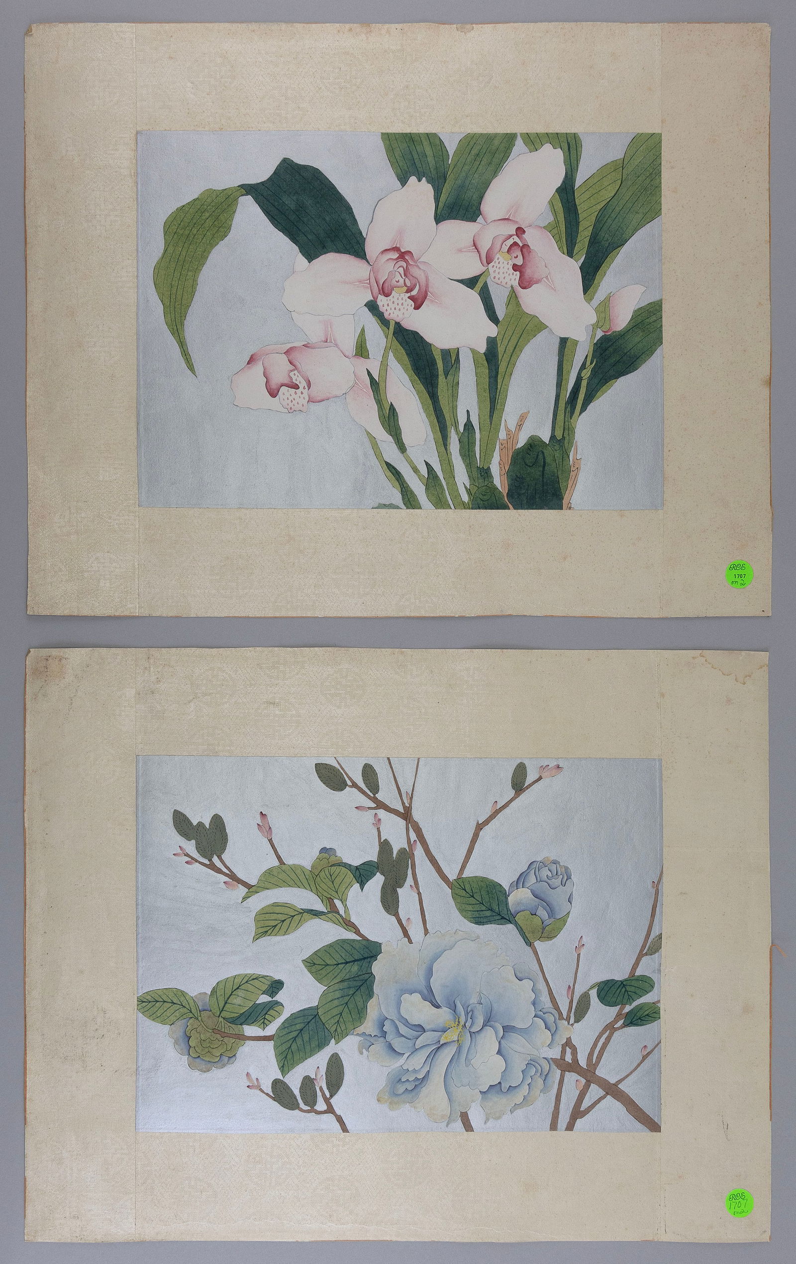 CHINESE SCHOOL (20th Century,), Pair of floral studies, Mixed medias on paper, 10" x 14". Silk (1 of 1)