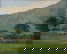 item-209037394=1