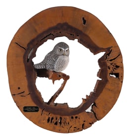 CONNIE TVETEN DECORATIVE PYGMY OWL Fort Peck, Montana, 1945- Diameter 21.5".