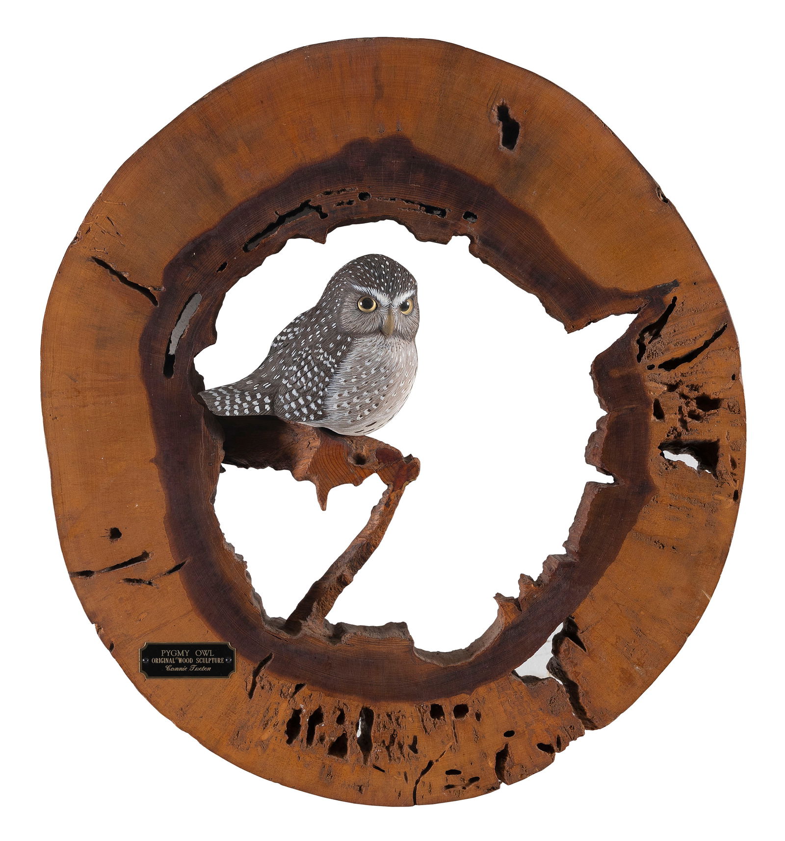 CONNIE TVETEN DECORATIVE PYGMY OWL Fort Peck, Montana, 1945- Diameter 21.5". (1 of 1)