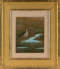 EDWINA KAY (Connecticut, 20th Century), Shorebird in a marsh., Gouache on paper, 11.5" x 9" sight.