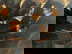 item-209965872=7