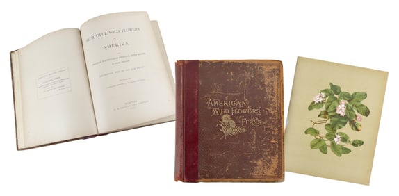 BOOK "BEAUTIFUL WILD FLOWERS OF AMERICA FROM ORIGINAL WATER-COLOR DRAWINGS AFTER NATURE" ILLUSTRATED