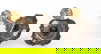 item-209966716=4