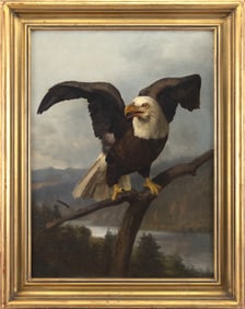 JOHN HENRY DOLPH (New York/Ohio, 1835-1903), Perched American bald eagle.