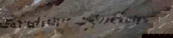 item-209967156=2