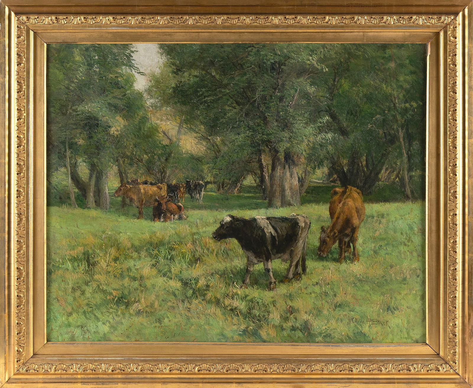 OLIVE PARKER BLACK (New York/Massachusetts, 1868-1948), Cows at the tree line., Oil on canvas, 25" x: OLIVE PARKER BLACKNew York/Massachusetts, 1868-1948Cows at the tree line. Signed lower right "Olive P. Black".Oil on canvas, 25" x 30". Framed 31" x 36.5".
