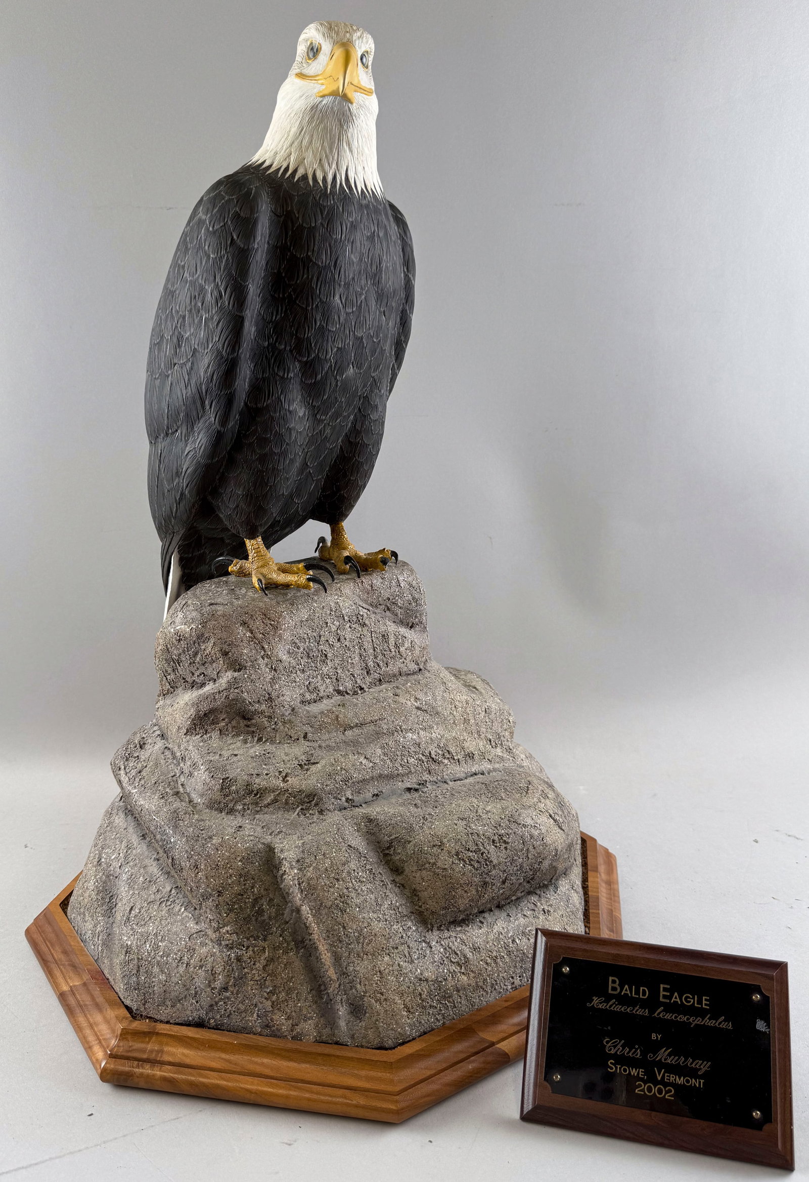 CHRIS MURRAY DECORATIVE BALD EAGLE Vermont, Late 20th Century Height 35".: CHRIS MURRAY DECORATIVE BALD EAGLE Vermont, Late 20th Century Carved wood with painted metal feet, on a faux rockery base. Height 35".