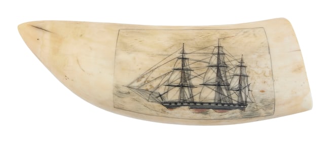 POLYCHROME SCRIMSHAW WHALE'S TOOTH ATTRIBUTED TO CAPTAIN SAMUEL LAWRENCE 19th Century Length 5.5".