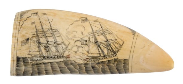 VIGNETTE ENGRAVER SCRIMSHAW WHALE'S TOOTH Mid-19th Century Length 6.75".