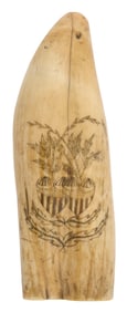 LARGE POLYCHROME SCRIMSHAW WHALE'S TOOTH 19th Century Length 8.5".