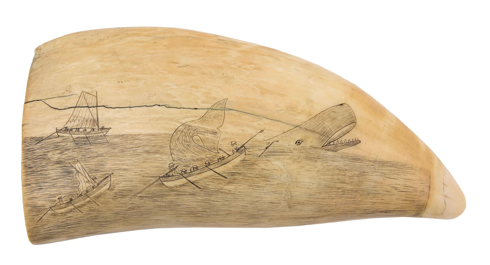 SCRIMSHAW WHALE'S TOOTH WITH WHALING SCENES 19th Century Length 7".: SCRIMSHAW WHALE'S TOOTH WITH WHALING SCENES19th CenturyObverse depicts three whaleboats, one under sail, in pursuit of a sperm whale. Reverse depicts a three-masted whaleship with boldly rendered davi