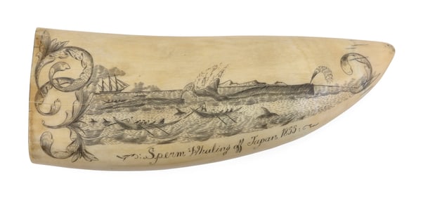 * ENGRAVED WHALE'S TOOTH "SPERM WHALING OFF JAPAN 1855" 20th Century Length 5.5".