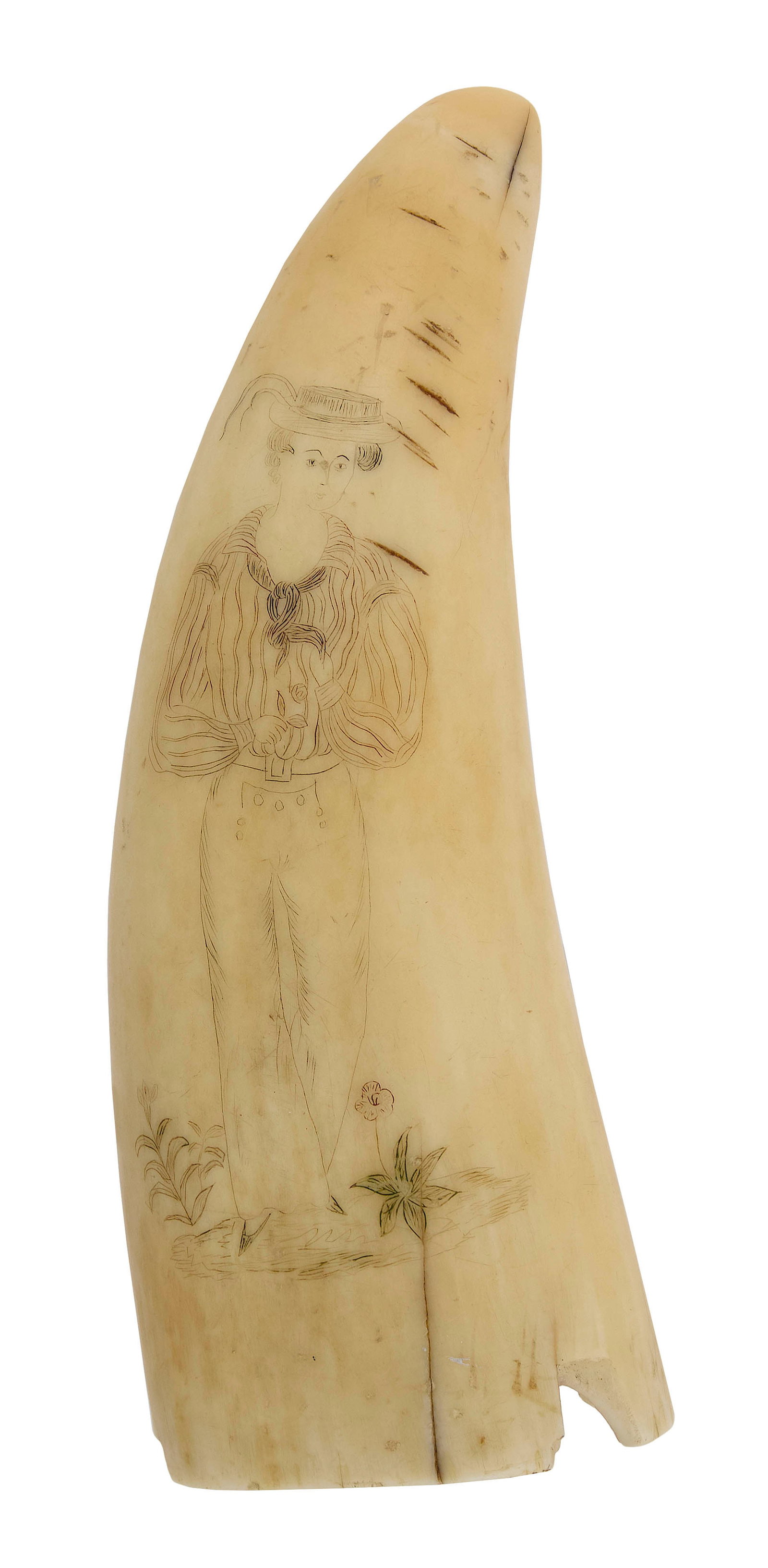 SCRIMSHAW WHALE'S TOOTH 19th Century Length 5".: SCRIMSHAW WHALE'S TOOTH 19th Century Obverse depicts a sailor. Reverse depicts a flowering plant. Length 5".
