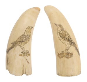 PAIR OF SCRIMSHAW WHALE'S TEETH DEPICTING SONGBIRDS 19th Century Lengths approx. 4".