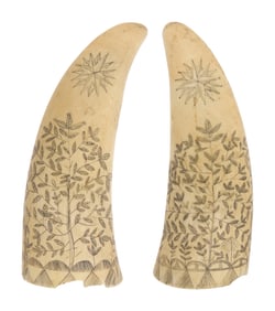 PAIR OF SCRIMSHAW WHALE'S TEETH 19th Century Lengths approx. 4".
