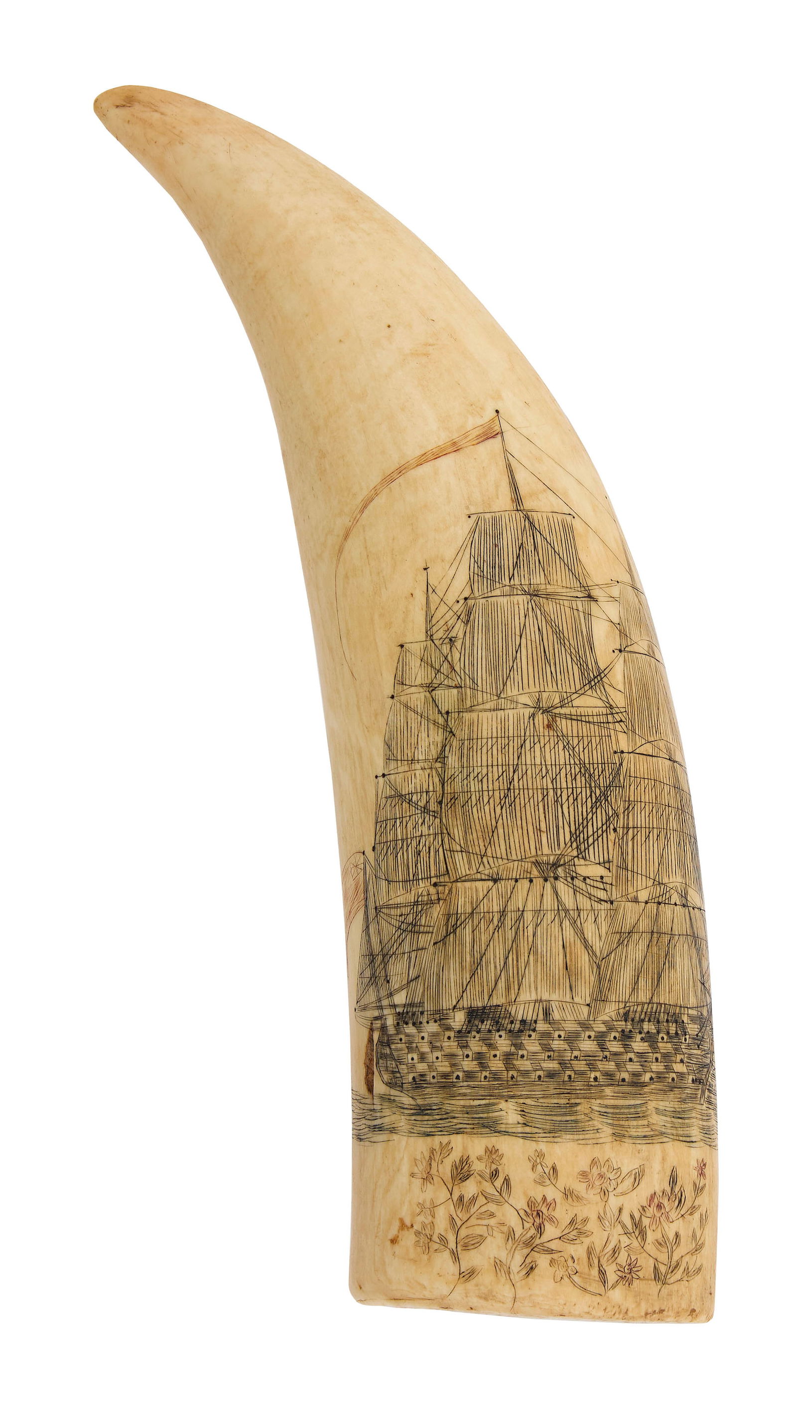 SCRIMSHAW WHALE'S TOOTH WITH SHIP PORTRAIT 19th Century Length 6.75".: SCRIMSHAW WHALE'S TOOTH WITH SHIP PORTRAIT19th CenturyObverse depicts a three-decker gunship under full sail, flying a long red pennant. Floral design at base. Reverse depicts the stern view of the sa
