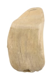 * SEMI-POLISHED WHALE'S TOOTH, Length 5.5".