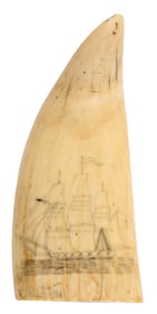 SCRIMSHAW WHALE'S TOOTH 19th Century Length 6.25".