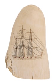 POLYCHROME SCRIMSHAW WHALE'S TOOTH WITH SHIP PORTRAIT Last Quarter of the 19th Century Length 6.5".