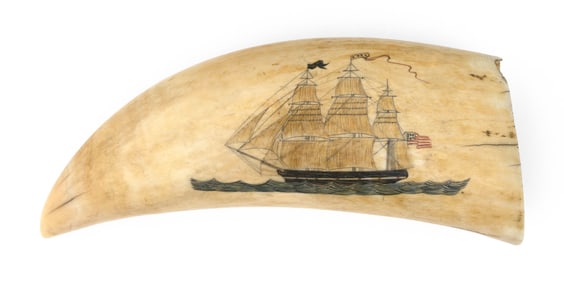 VIBRANTLY POLYCHROME SCRIMSHAW WHALE'S TOOTH Mid-19th Century Length 6".