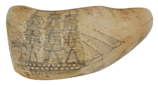 SCRIMSHAW WHALE'S TOOTH DEPICTING AMERICAN SHIPS 19th Century Length 5.75".
