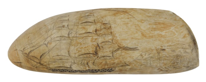 LARGE SCRIMSHAW WHALE'S TOOTH 19th Century Length 8.5".