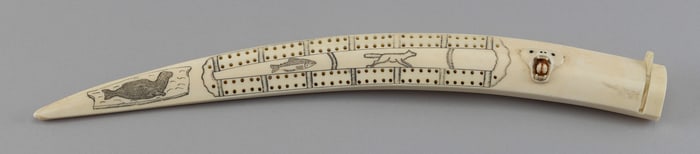 ESKIMO WALRUS TUSK CRIBBAGE BOARD 20th Century Length 15.5".