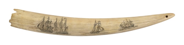 SCRIMSHAW WALRUS TUSK WITH MULTIPLE IMAGES Second Half of the 19th Century Length 22".