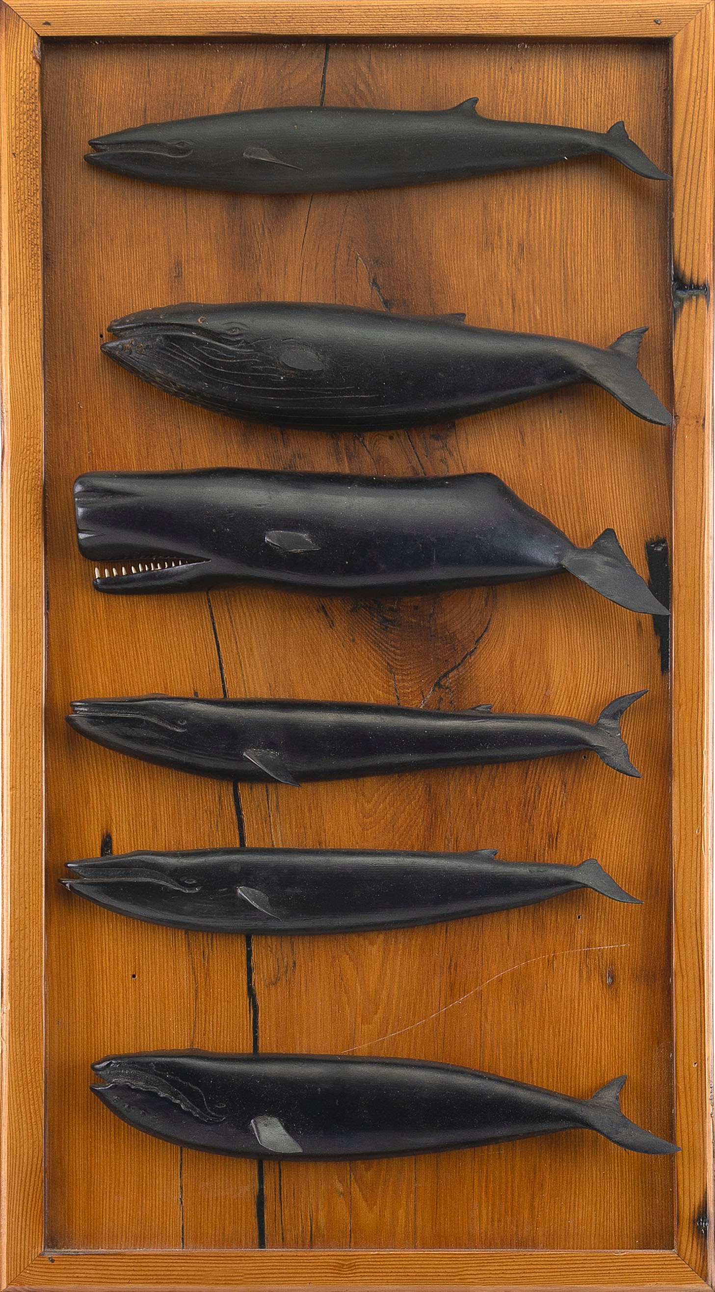 SIX W. PRATT WHALE SILHOUETTES 20th Century Board 22.75" x 12.5".: SIX W. PRATT WHALE SILHOUETTES20th CenturyVaried species. Each signed verso. All can be hooked onto a pine backboard, which has information verso about the different types of whales.Board 22.75" x 12.