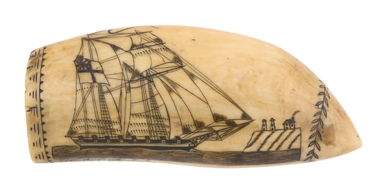 BRITANNIA ENGRAVER SCRIMSHAW WHALE'S TOOTH Circa 1830 Length 5.5".
