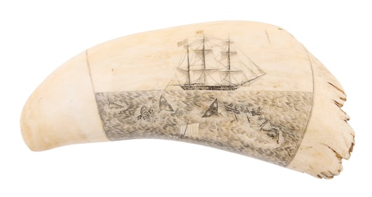 SCRIMSHAW WHALE'S TOOTH ATTRIBUTED TO WILLIAM LEWIS RODERICK First Half of the 19th Century Length