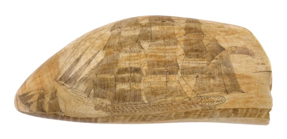 SCRIMSHAW WHALE'S TOOTH WITH WHALING SCENE AND U.S. NAVAL VESSELS Mid-19th Century Length 6.75".