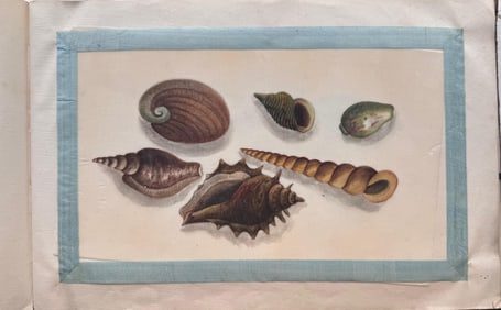 SUNQUA (China, active 1830-1870), Seven albums of watercolors on pith paper., Images approx. 5.5" x