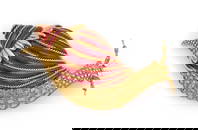 DAVID WEBB 18KT YELLOW GOLD, PLATINUM AND ENAMEL SNAIL PIN Approx. 29.0 total dwt.