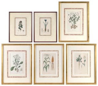 SIX FRENCH BOTANICAL PRINTS 19th Century Framed 14.25" x 10.5" and 18.25" x 14.5".