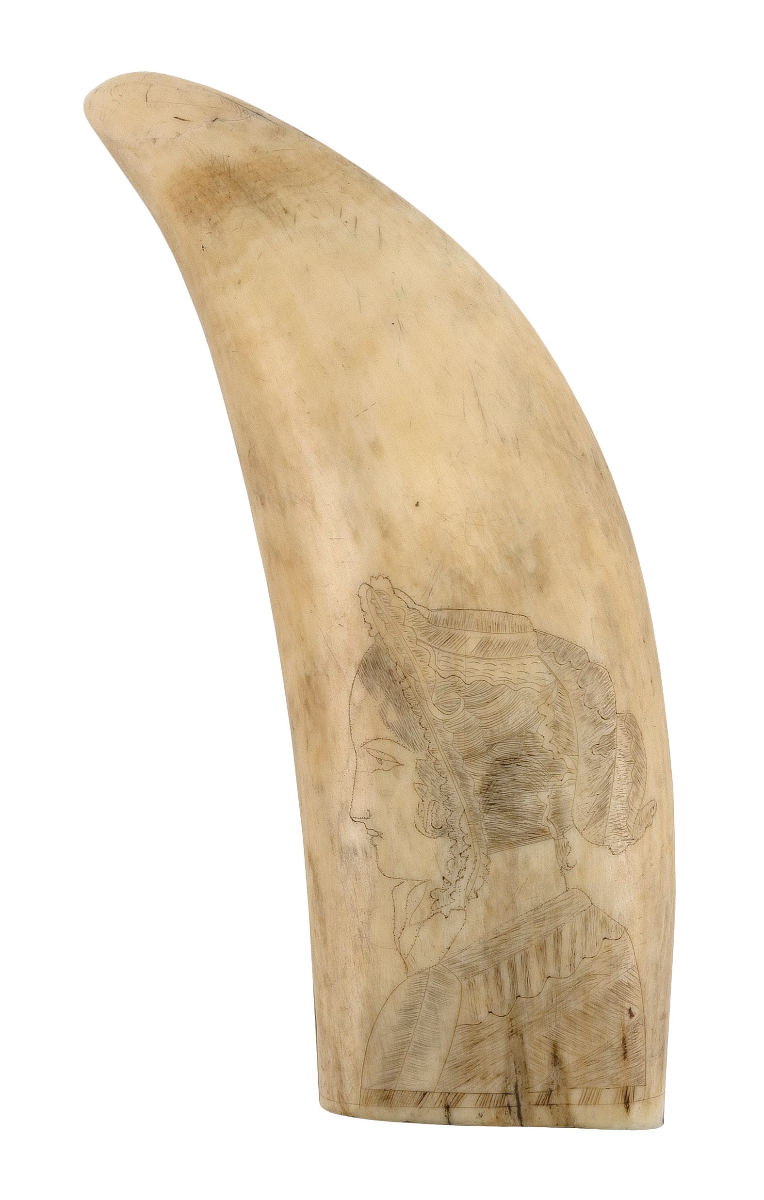 SCRIMSHAW WHALE'S TOOTH DEPICTING A BUST PROFILE OF A WOMAN 19th Century Length 6.25".: SCRIMSHAW WHALE'S TOOTH DEPICTING A BUST PROFILE OF A WOMAN 19th Century Length 6.25".