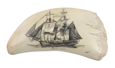 * ENGRAVED WHALE'S TOOTH "DRYING SAILS" 20th Century Length 5.75".