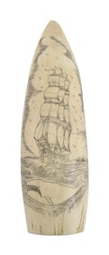 * ENGRAVED WHALE'S TOOTH DEPICTING A SHIP AND A WHALE 20th Century Length 6".